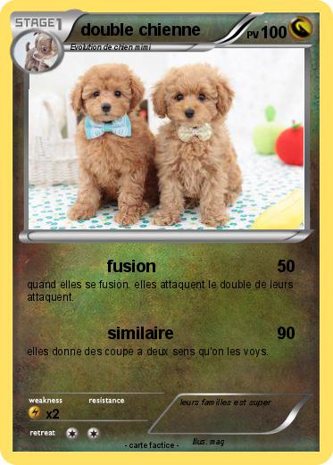 Pokemon double chienne