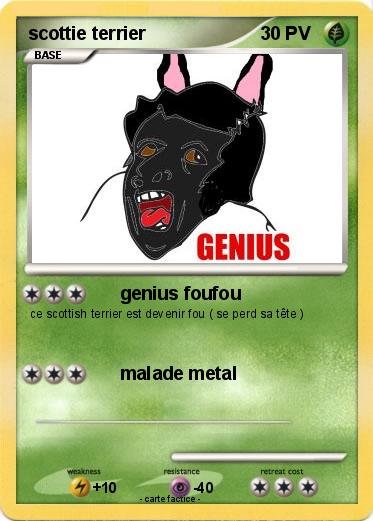 Pokemon scottie terrier