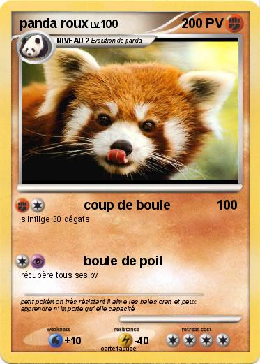 Pokemon panda roux