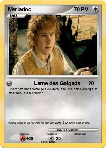 Pokemon Meriadoc