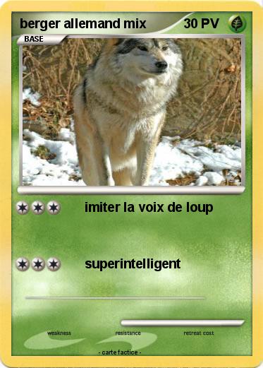 Pokemon berger allemand mix