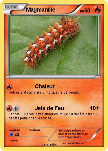 Pokemon Magmanille