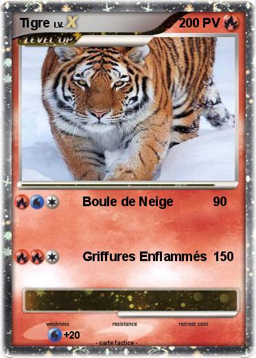 Pokemon Tigre
