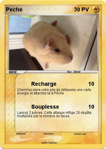 Pokemon Peche