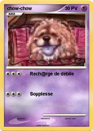 Pokemon chow-chow
