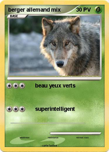 Pokemon berger allemand mix