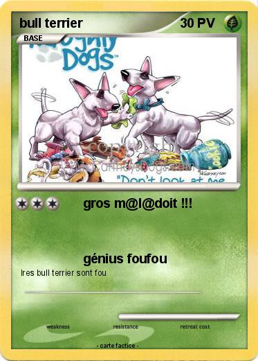 Pokemon bull terrier