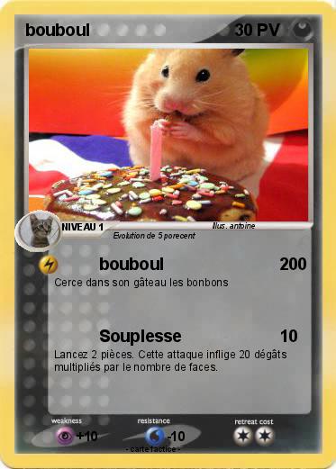 Pokemon bouboul