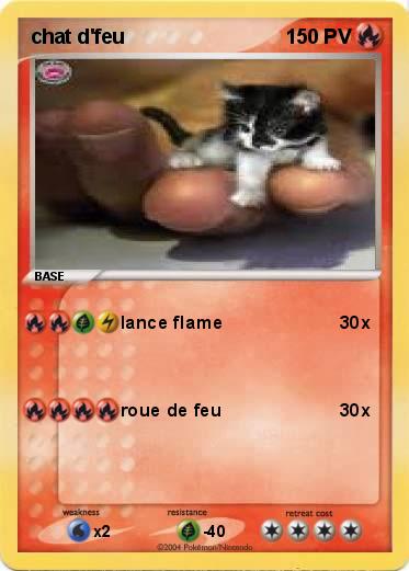 Pokemon chat d'feu