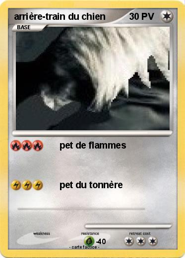 Pokemon arrière-train du chien