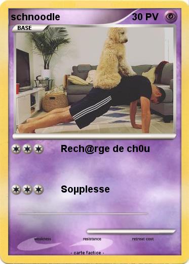 Pokemon schnoodle