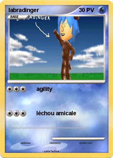 Pokemon labradinger