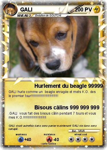 Pokemon GALI