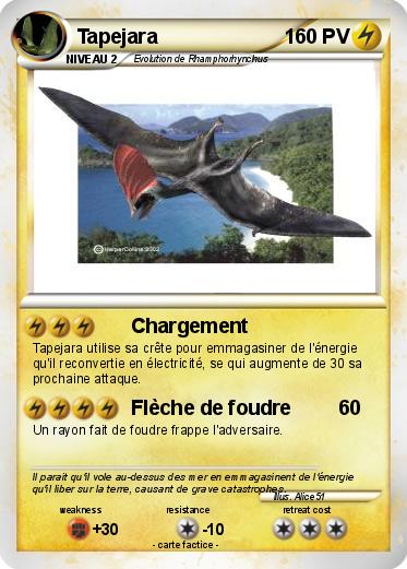 Pokemon Tapejara