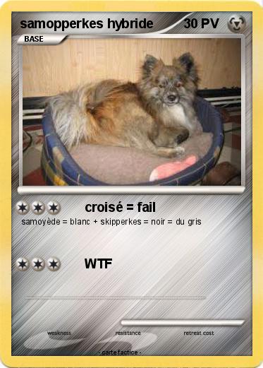 Pokemon samopperkes hybride