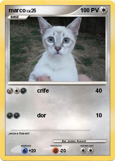 Pokemon marco