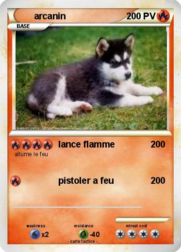 Pokemon arcanin