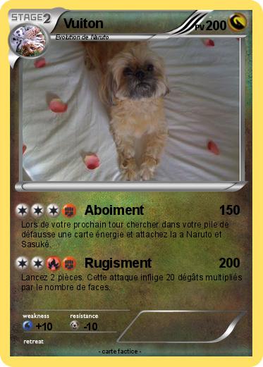 Pokemon Vuiton