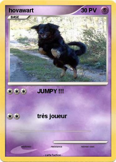 Pokemon hovawart