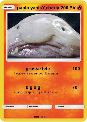 Pokemon pablo,yanisY,charly