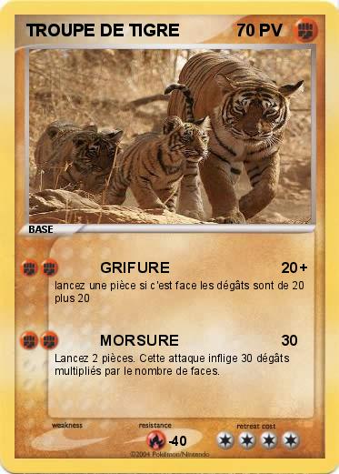Pokemon TROUPE DE TIGRE