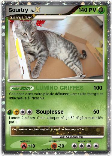 Pokemon Sourtry