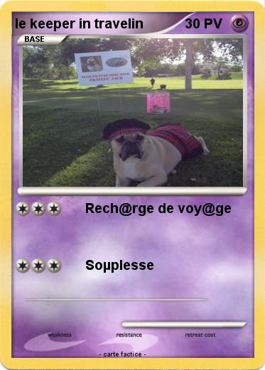 Pokemon le keeper in travelin