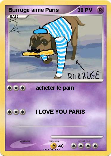 Pokemon Burruge aime Paris