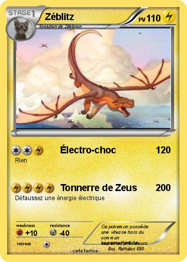 Pokemon Zéblitz