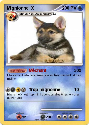 Pokemon Mignionne  X