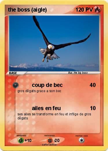 Pokemon the boss (aigle)