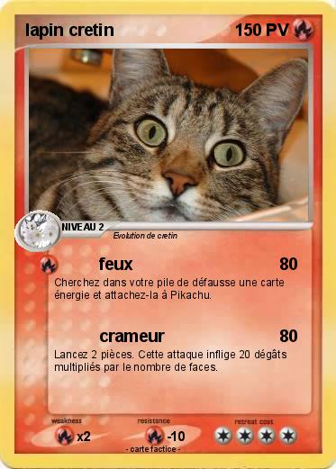 Pokemon lapin cretin