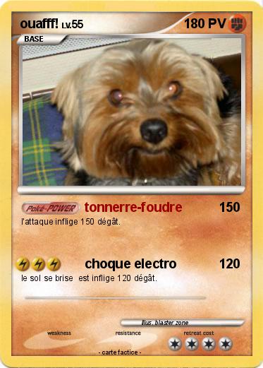 Pokemon ouafff!