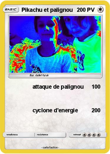 Pokemon Pikachu et palignou