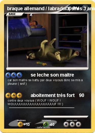 Pokemon braque allemand / labrador ( sims 3 animaux & cie )