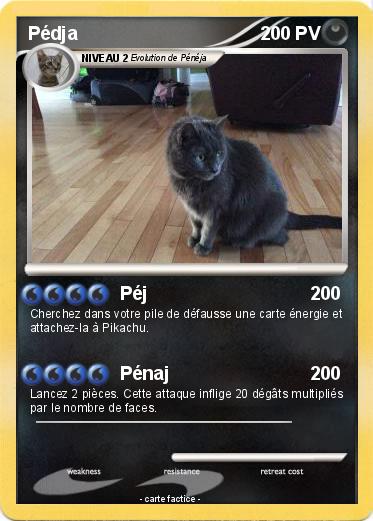Pokemon Pédja