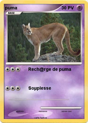 Pokemon puma