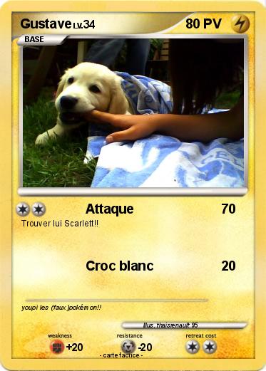 Pokemon Gustave