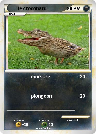 Pokemon le croconard
