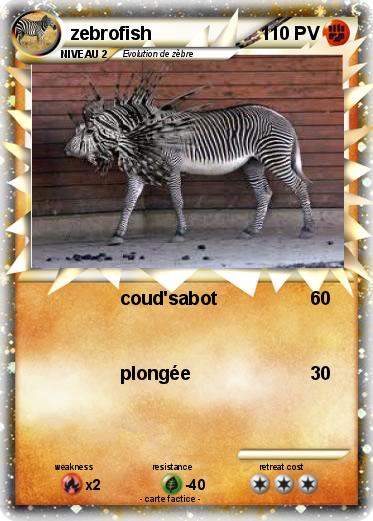 Pokemon zebrofish