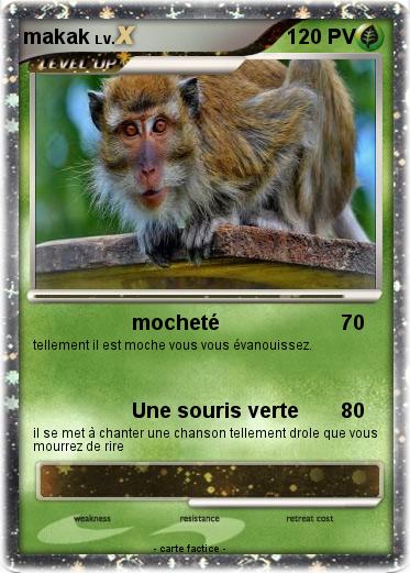 Pokemon makak