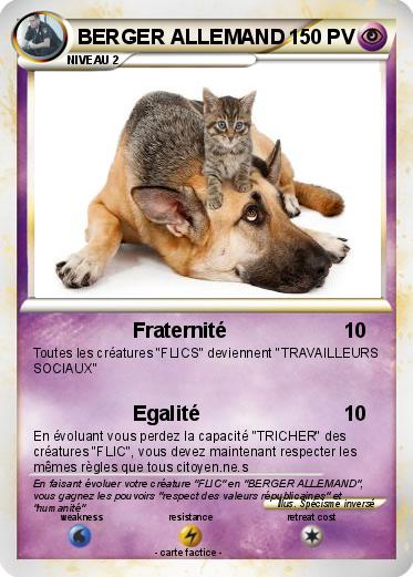 Pokemon BERGER ALLEMAND