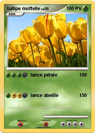 Pokemon tullipe moftelle