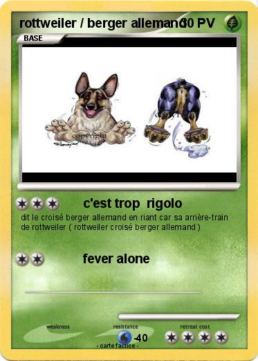 Pokemon rottweiler / berger allemand