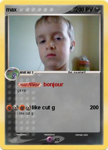 Pokemon max