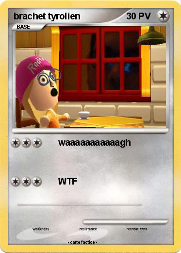 Pokemon brachet tyrolien