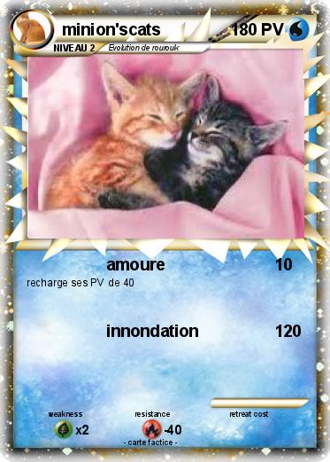 Pokemon minion'scats