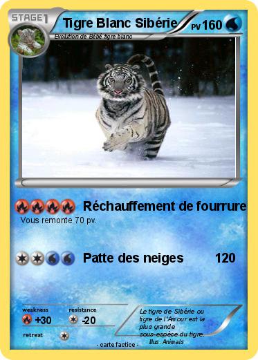 Pokemon Tigre Blanc Sibérie