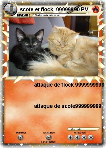 Pokemon scote et flock  9999999