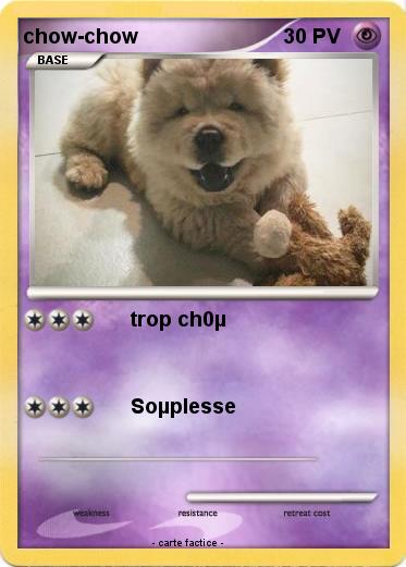 Pokemon chow-chow